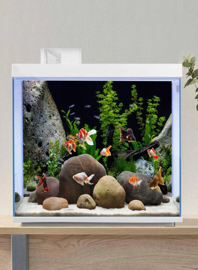 AWERT Vinyl Underwater Aquatic Plant Fish Tank Background Stone River Bed & Lake Aquarium Background 48x24 inches - Image 4